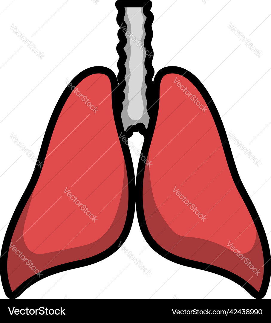Human lungs icon Royalty Free Vector Image - VectorStock