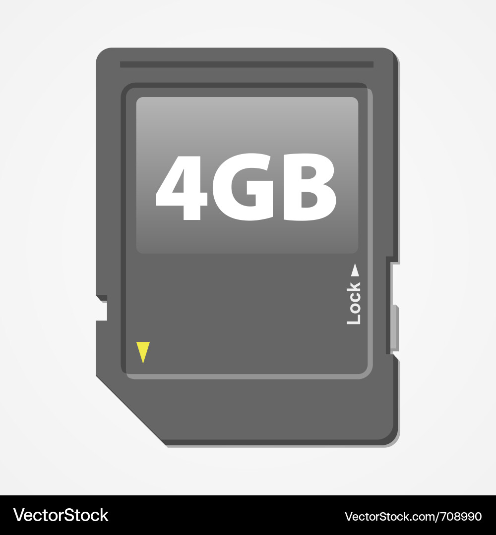 SD Memory Card vector image