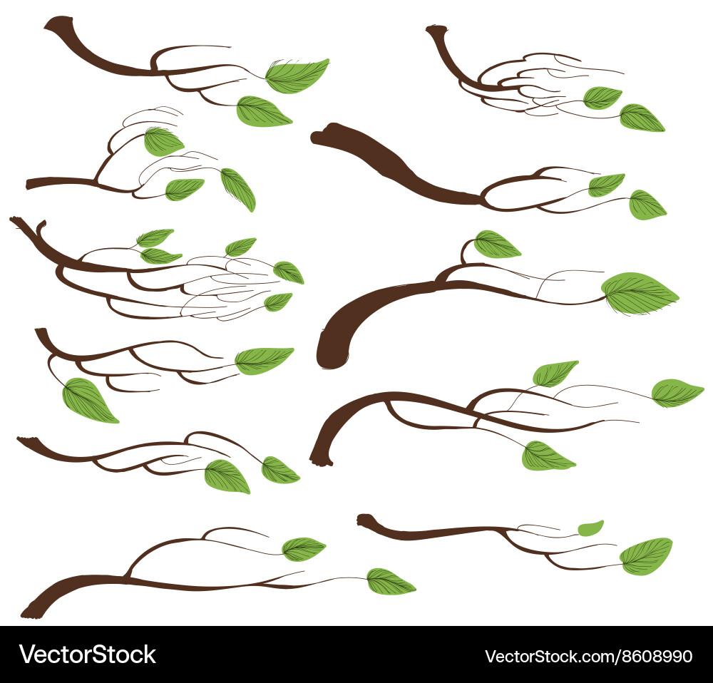 Tree branch and leaves set vector image