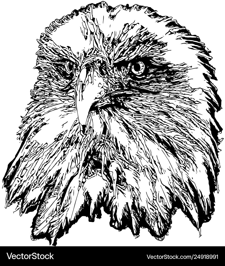 Eagle head Royalty Free Vector Image - VectorStock
