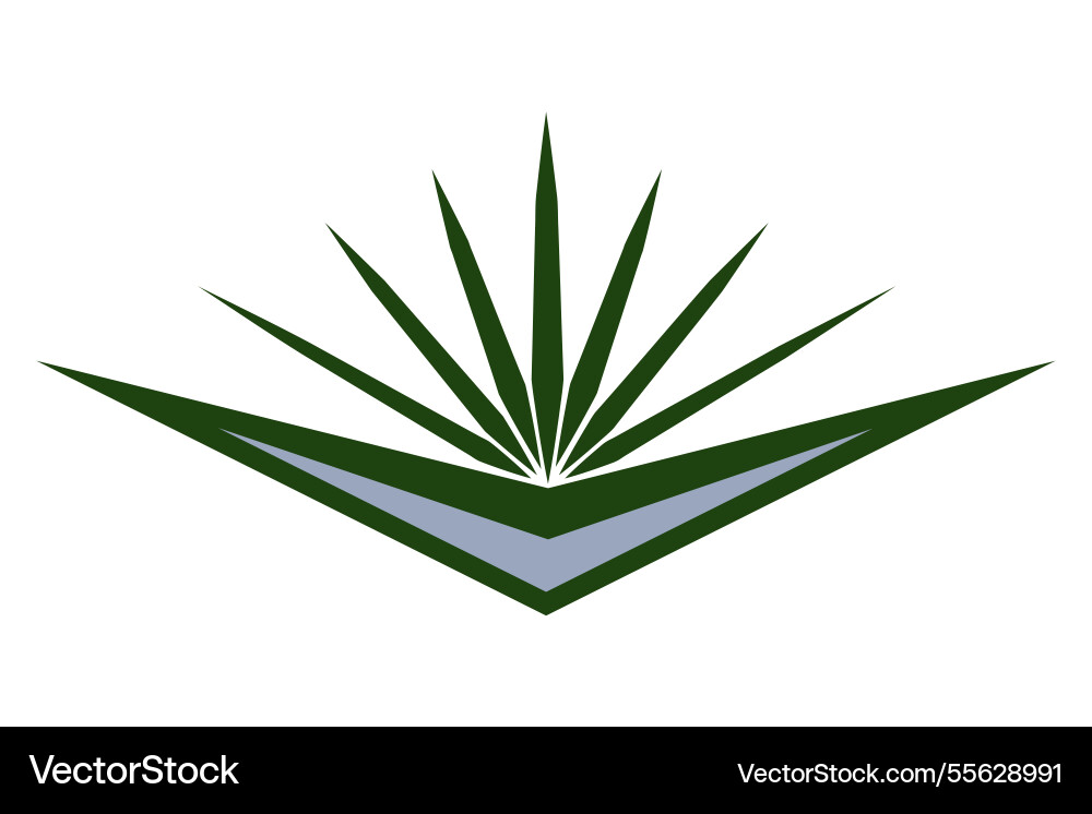 Green ornamental fantasy element with sharp rays Vector Image