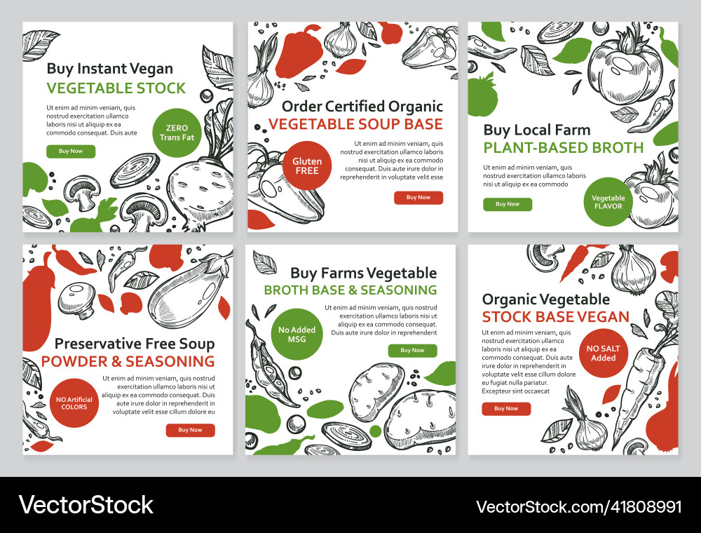 Vegetable Stock Promotion im Social Media Set Vegetable Stock Promotion im Social Media Set vektorbild