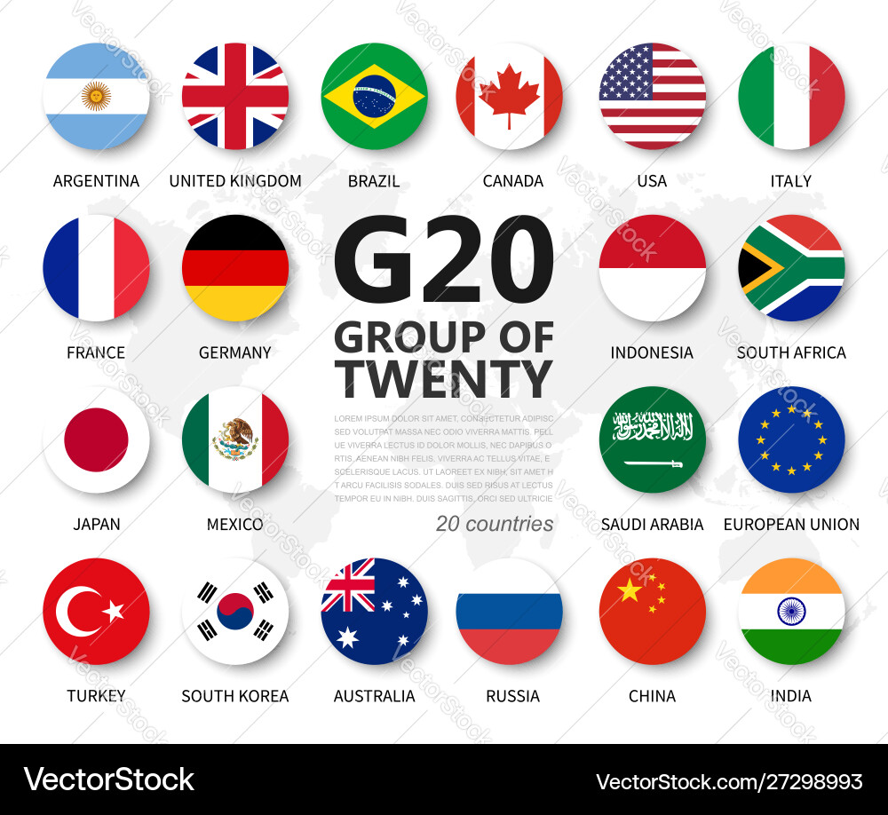 G20 Summit Flags - Group of Twenty vector image