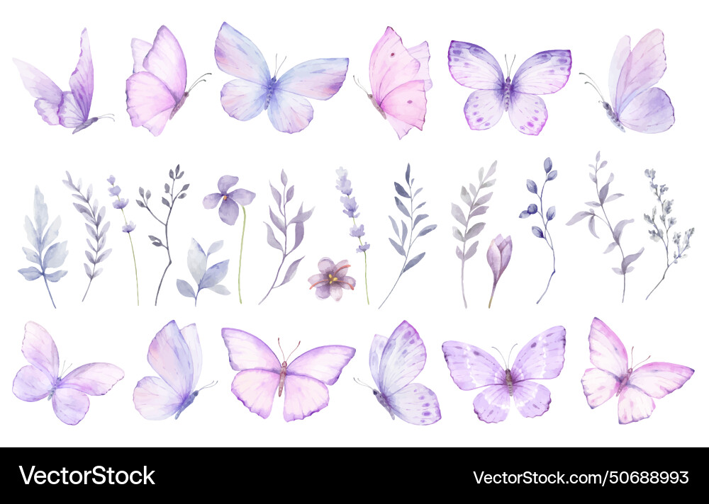 Rosa Violet Schmetterlinge Aquarell Set Vektorbild