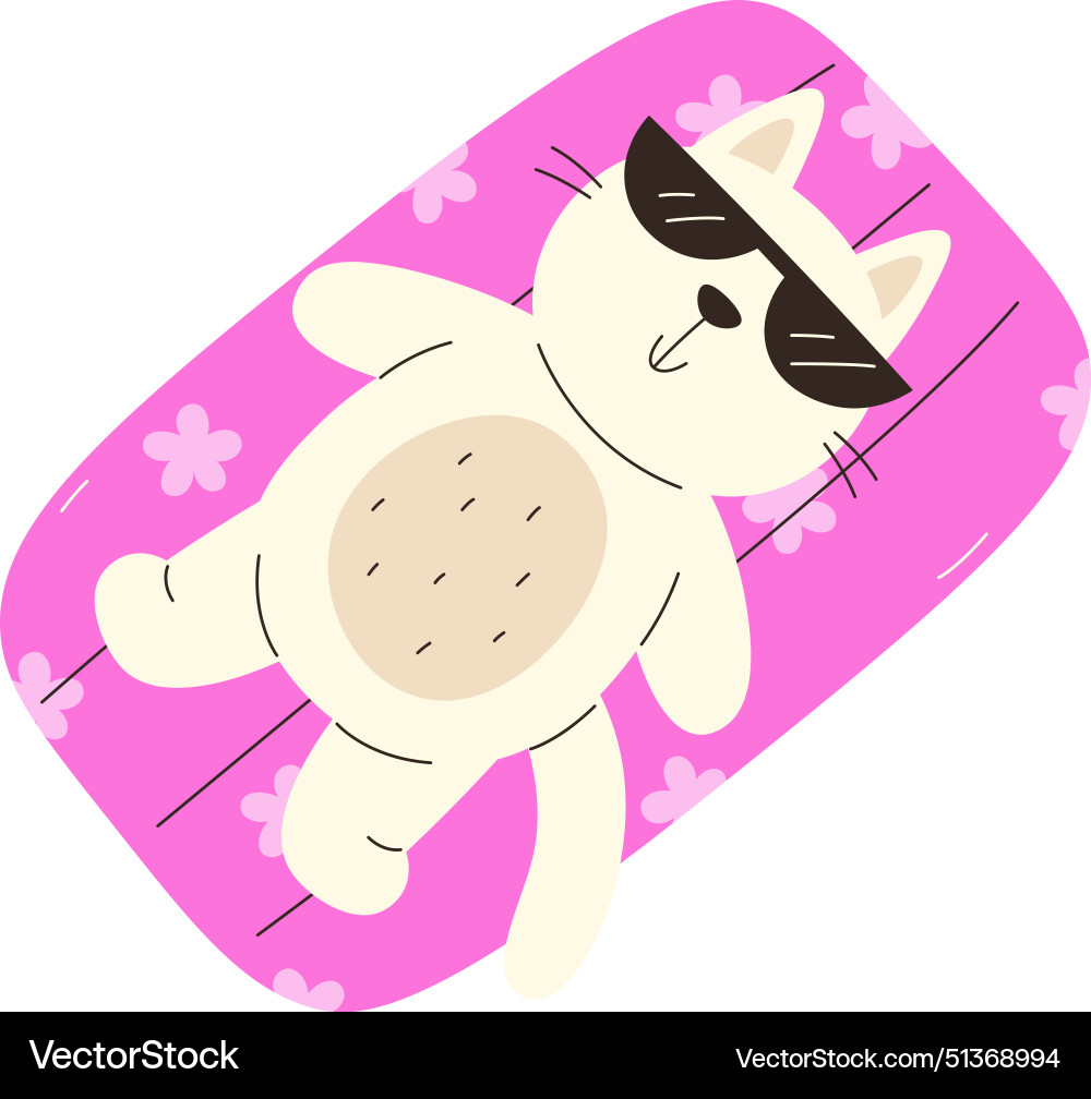 Cat resting on air mattress Royalty Free Vector Image