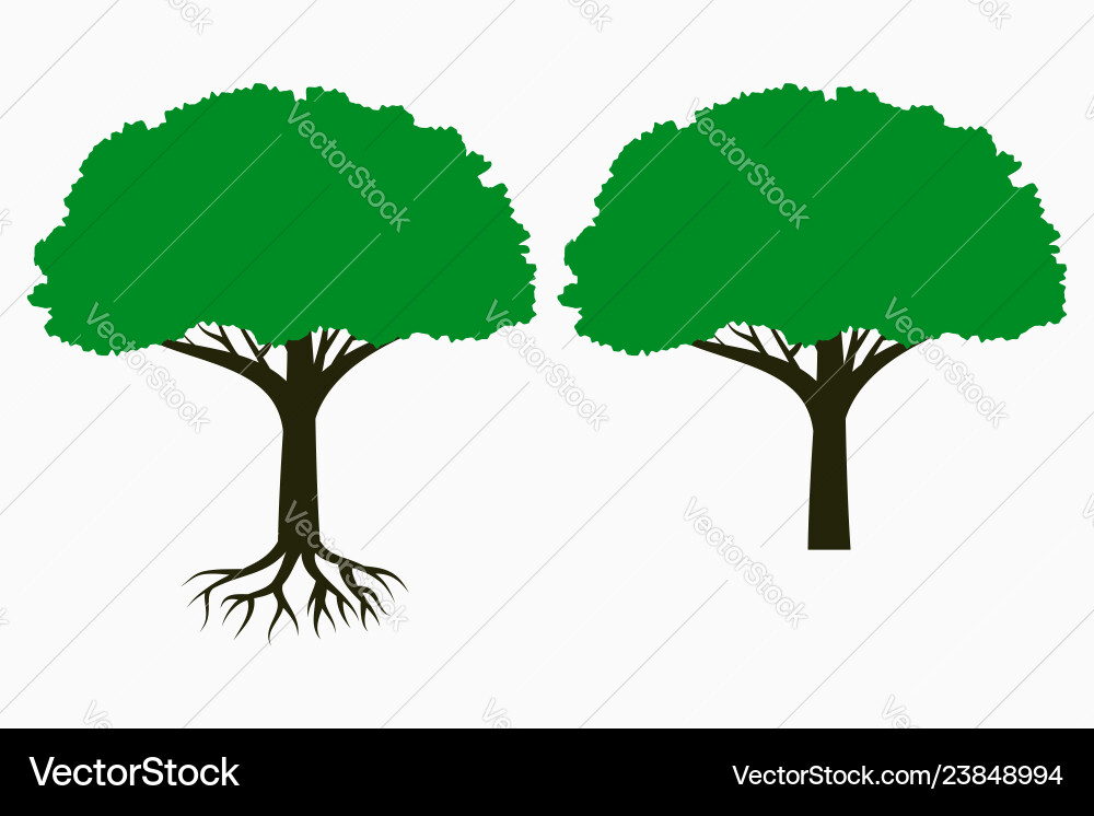 Tree with root and leaf crown Tree with root and leaf crown vector image