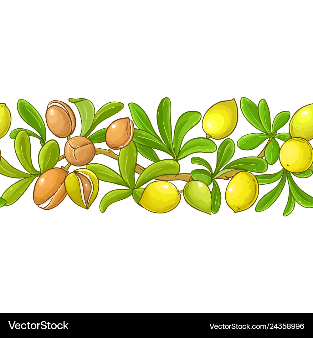 Argan Zweige Muster auf weißem Hintergrund Argan Zweige Muster auf weißem Hintergrund vektorbild