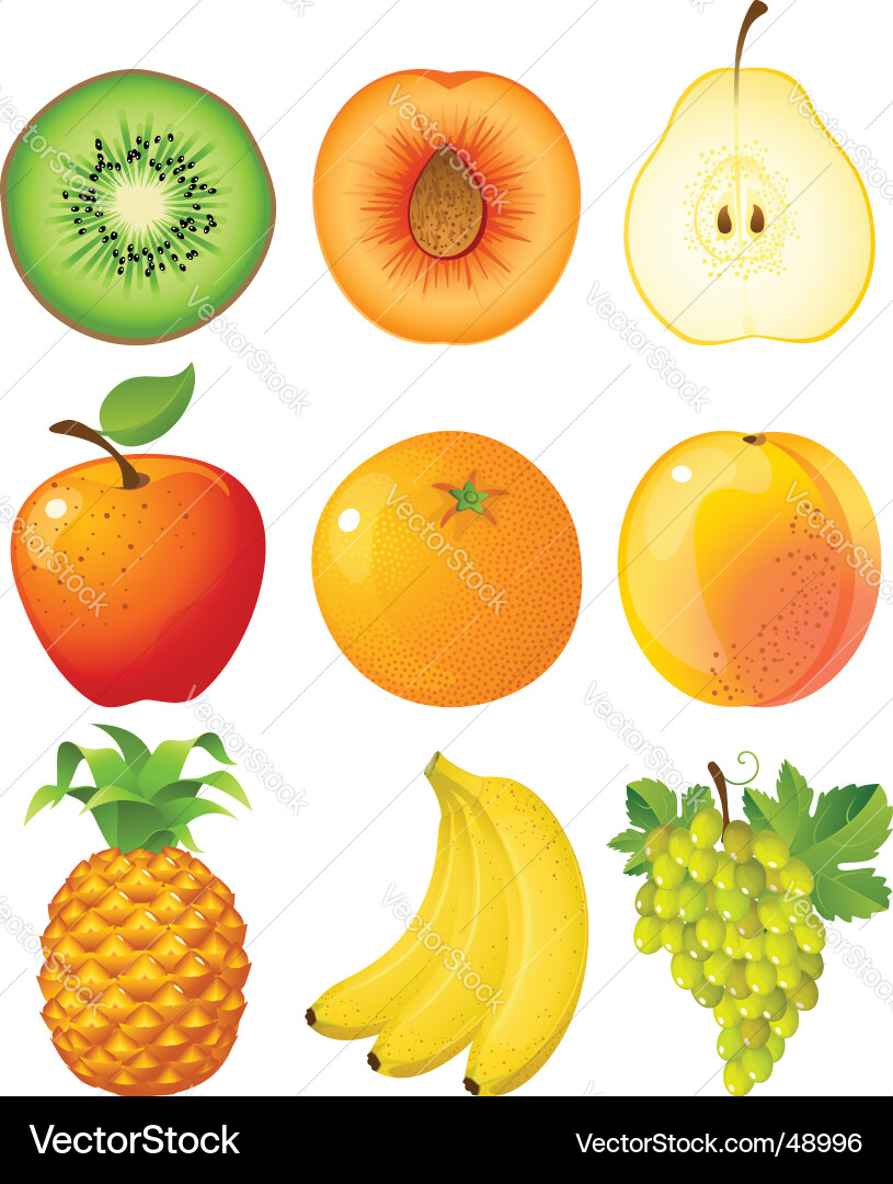 Colorful Fruit Collection Vector Image