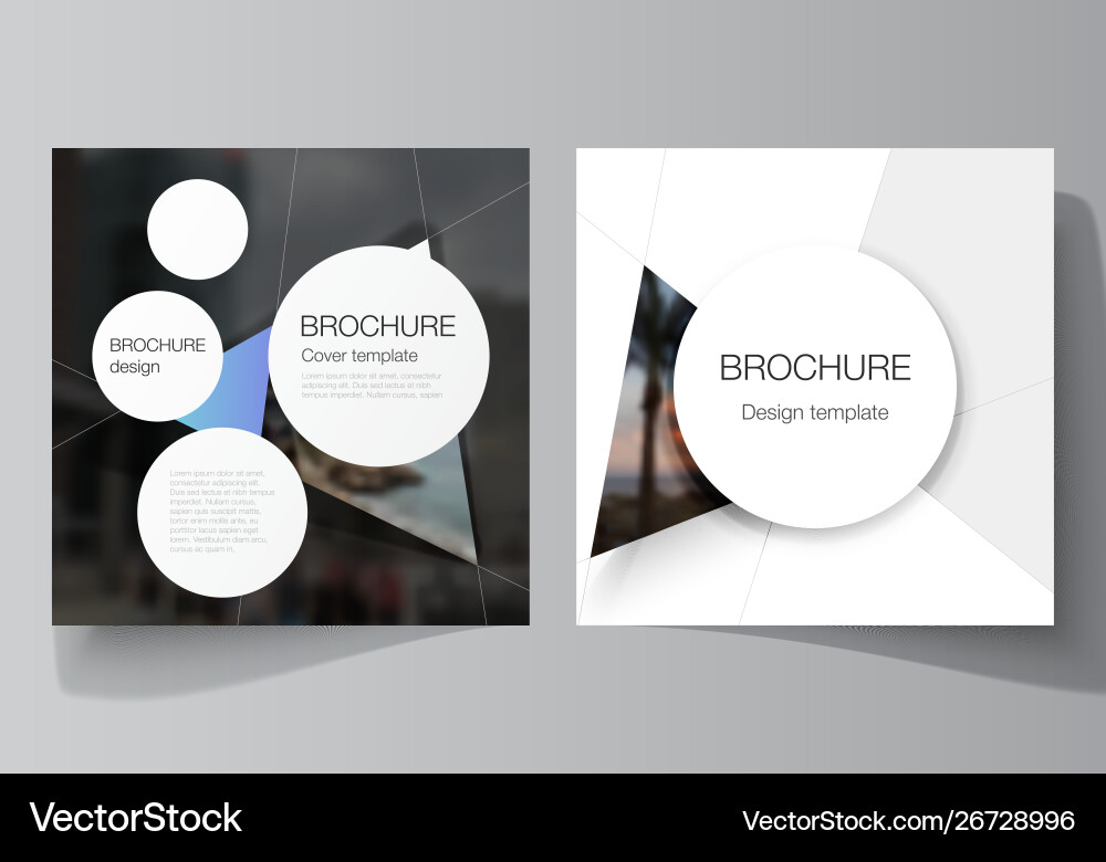 Minimal layout two square format Minimal layout two square format vector image
