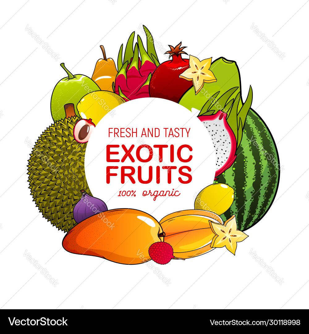 Mango fig lychee watermelon fruit food icon Mango fig lychee watermelon fruit food icon vector image