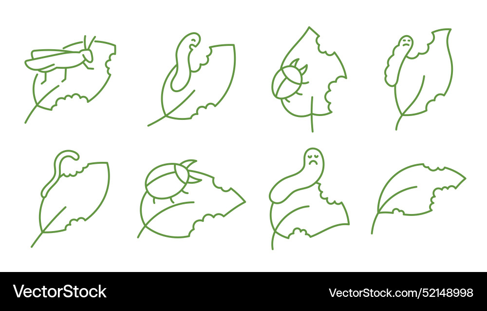 Minimalist leaf and insect icons editable Vector Image