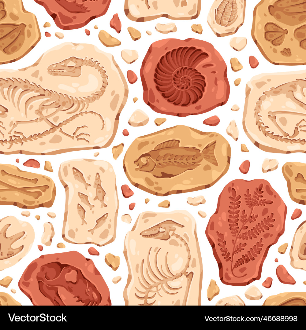 Paleontological Fossil Pattern vector image