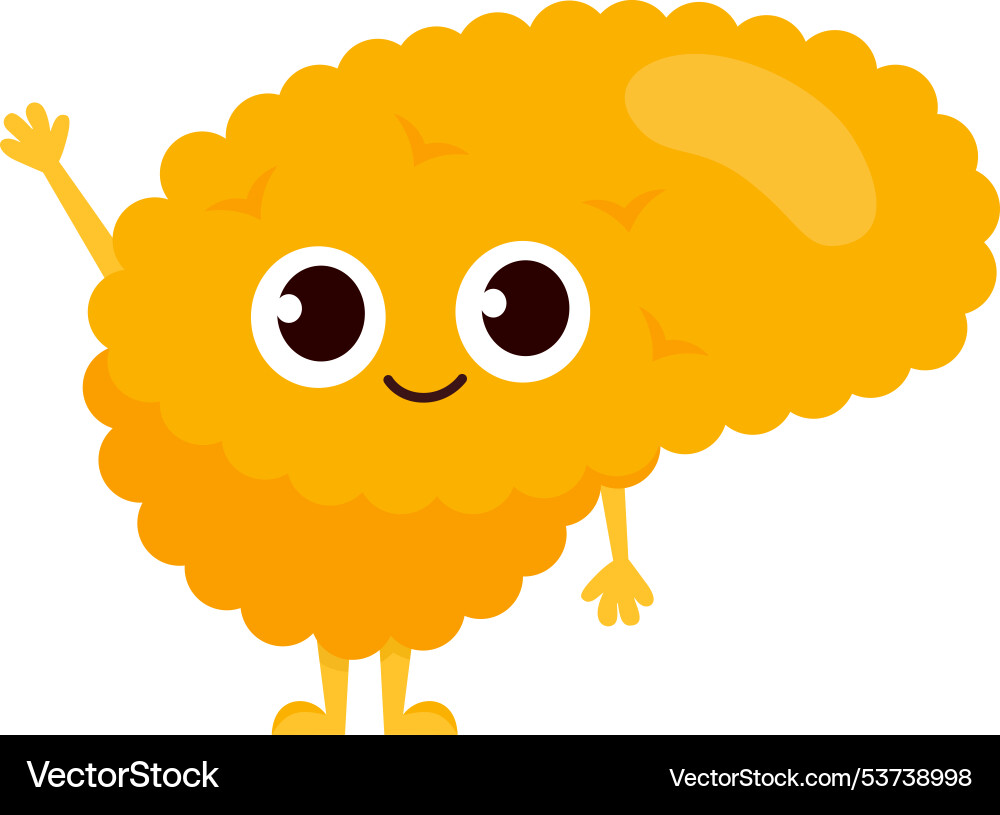 Pancreas character waving hand funny human organ Vector Image