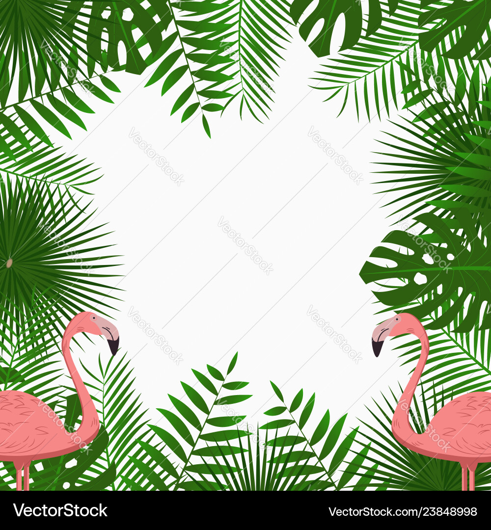 Tropical poster with jungle palm leaves flamingo vector image