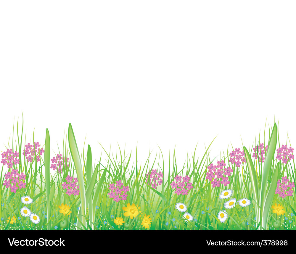 Vibrant Meadow Landscape Vector Image