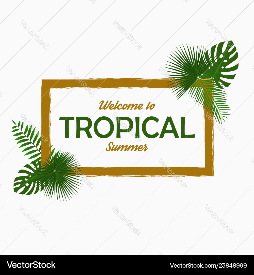 Tropical card design with - palm leaves vector image