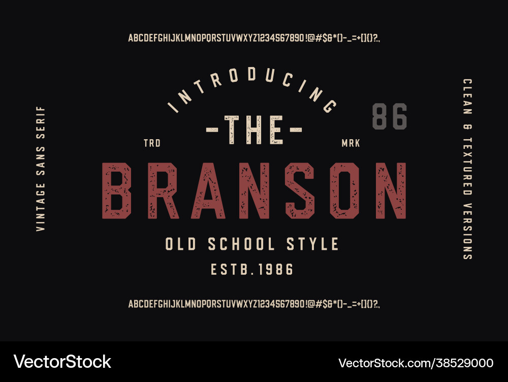 Branson Octagonal Font - Retro Style vector image