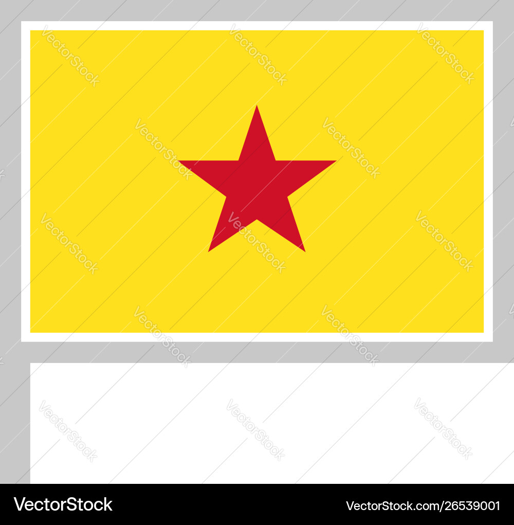 Moheli flag on flagpole icon vector image