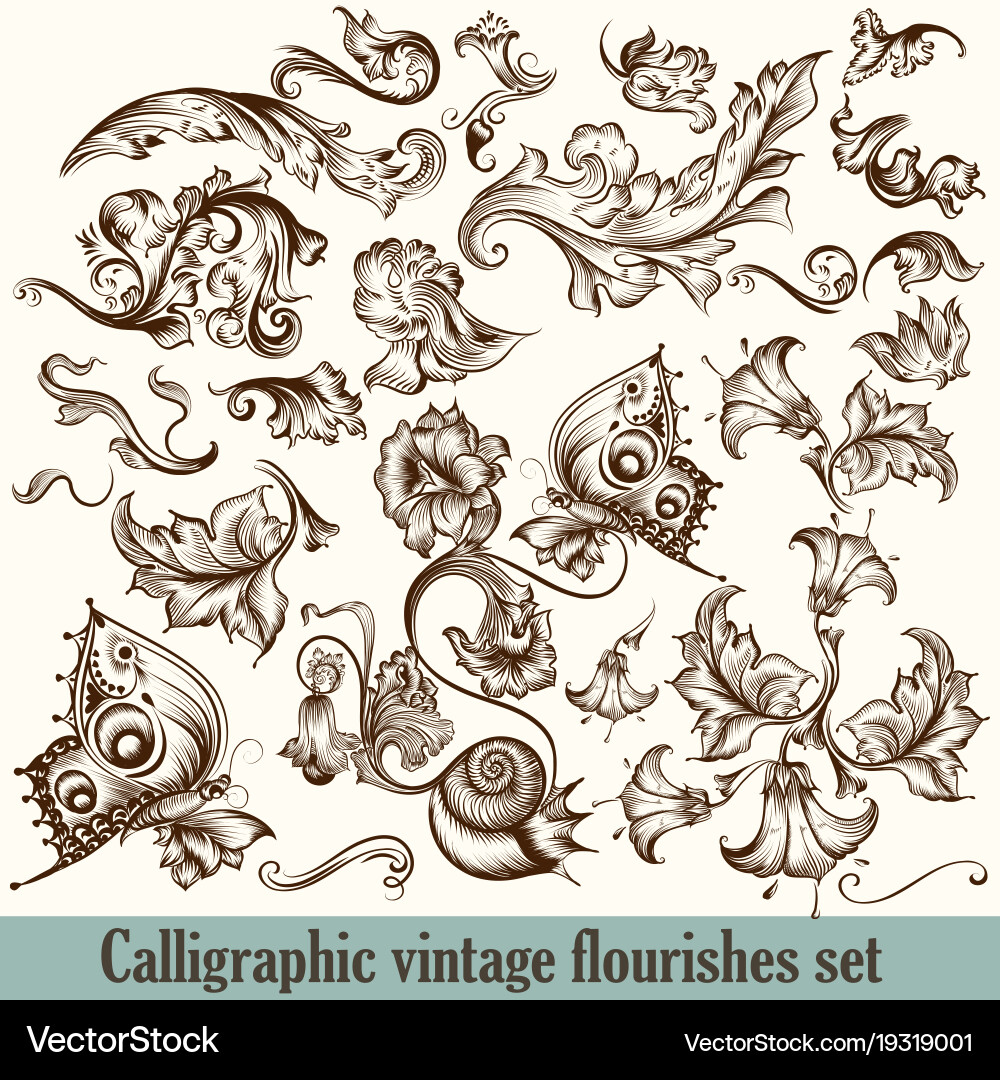 Set of calligraphic elements for design vector image