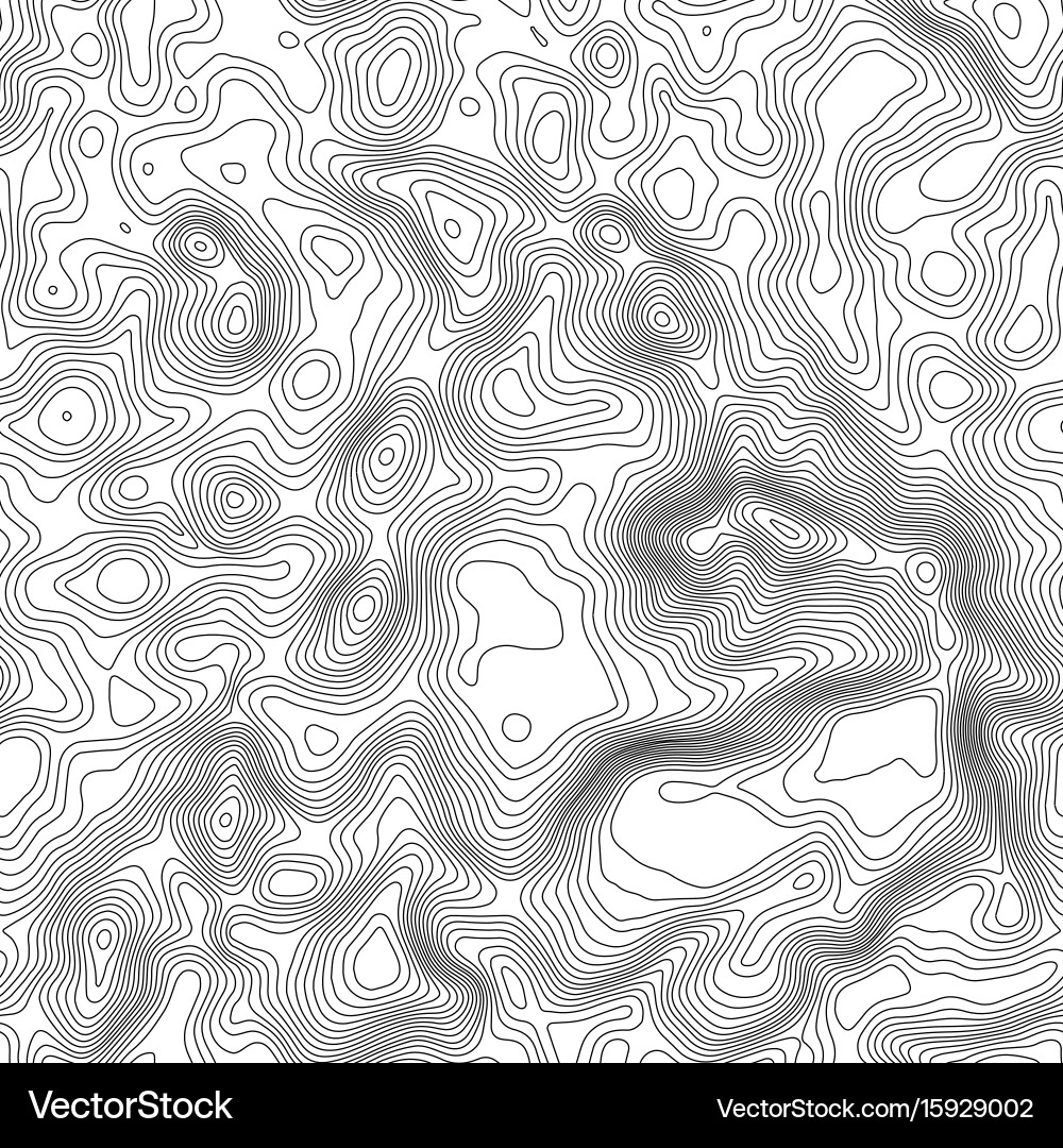 Seamless pattern topographic map background vector image