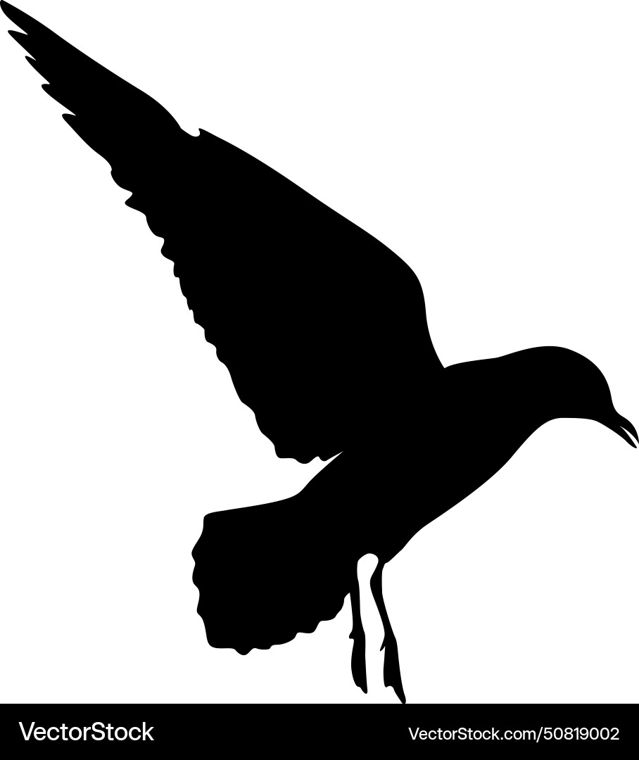 Silhouette on a white background of sea gull Silhouette on a white background of sea gull vector image