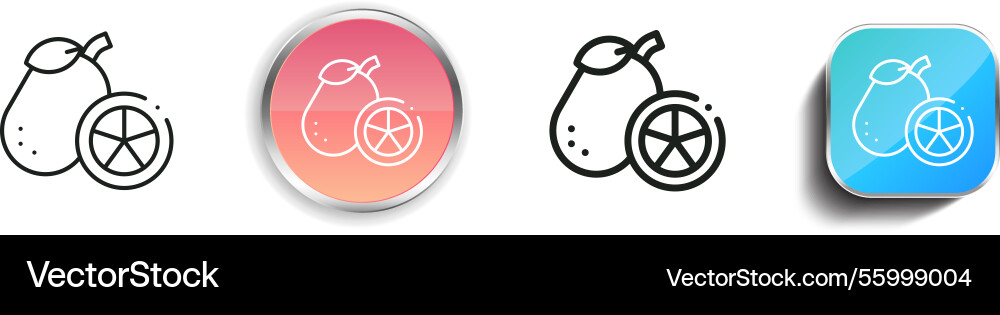 Kumquat icon thin linear regular and button style Vector Image