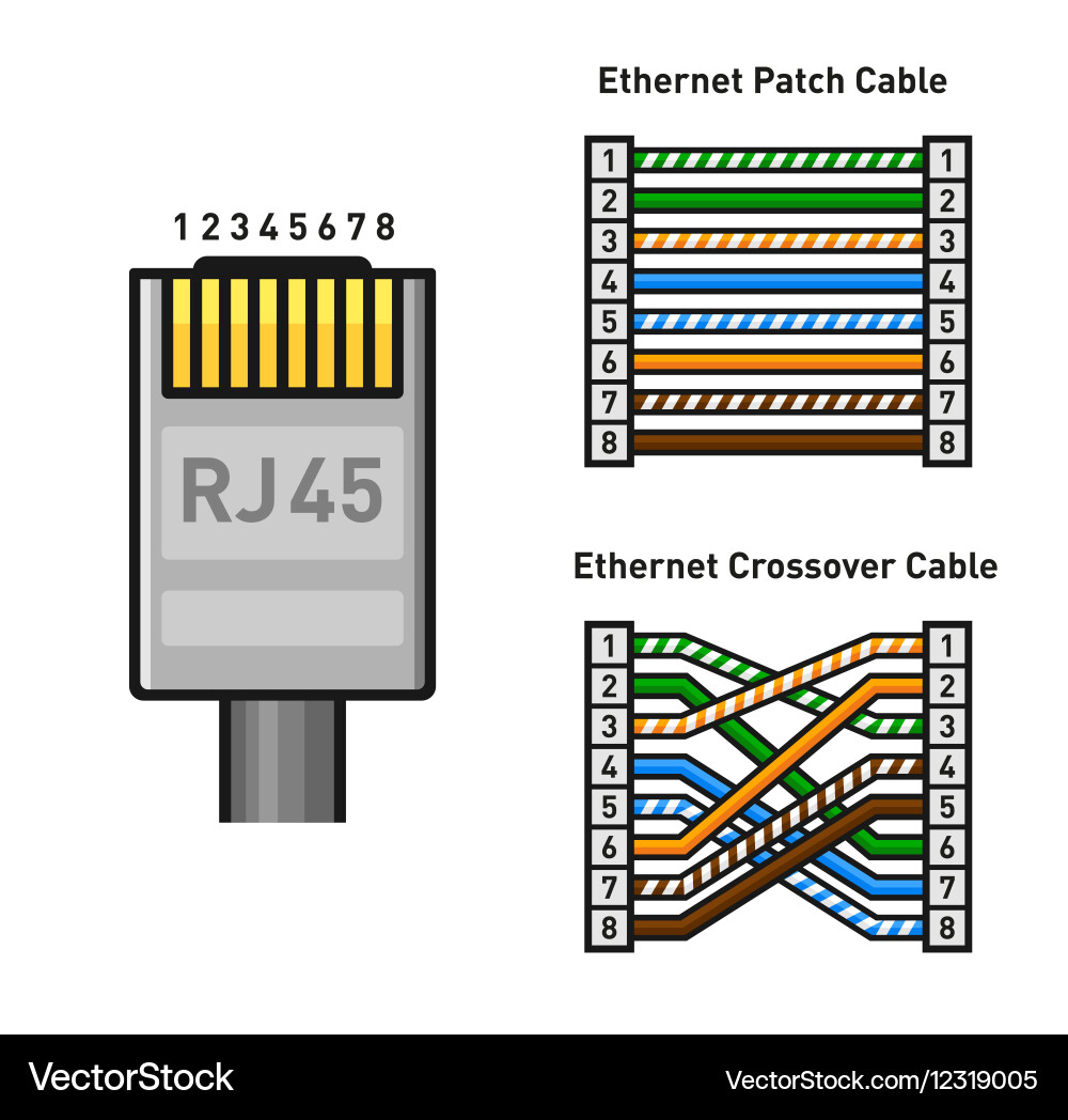 RJ45 Ethernet Connector Color Code vector image