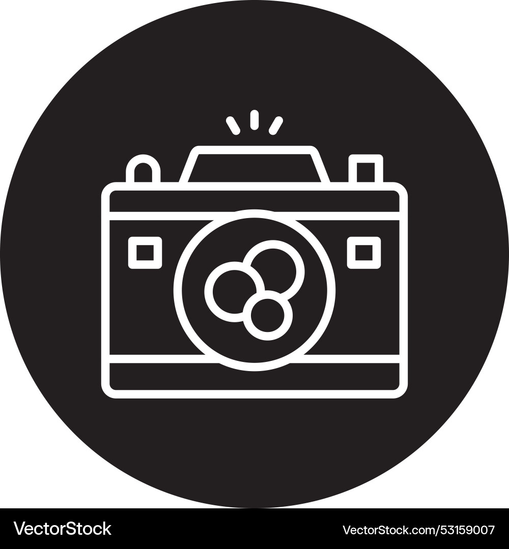 Filter line inverted icon Vector Image