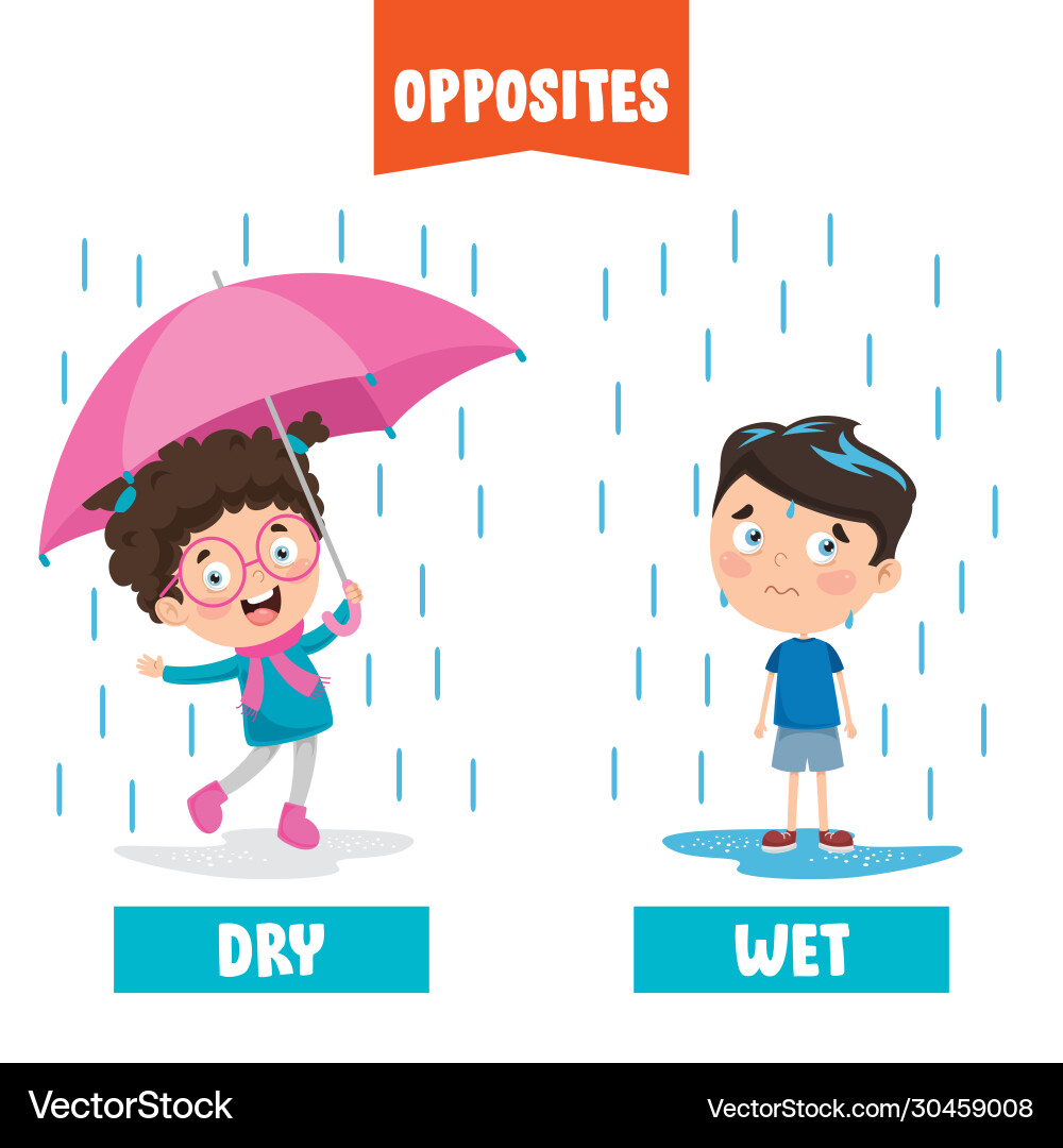 Dry and wet Dry and wet Vector Image
