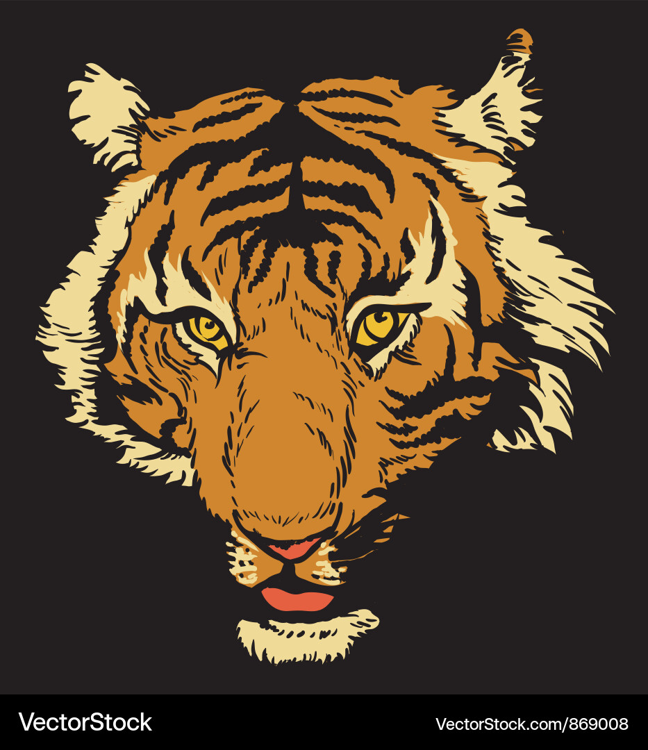 Raging Tiger T-Shirt Artwork Vector Image