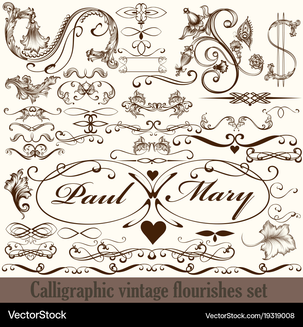 Set of calligraphic elements for design vector image