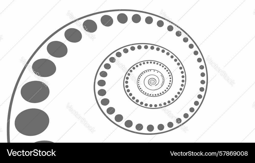Stylized nautilus shell spiral pattern design Vector Image