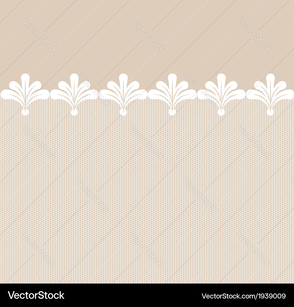 Elegant Lacy Border Pattern Vector Image