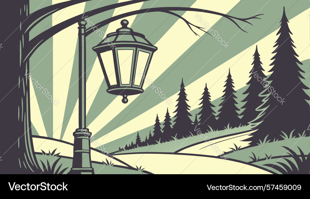 Forest path illuminated by a lantern design vector image