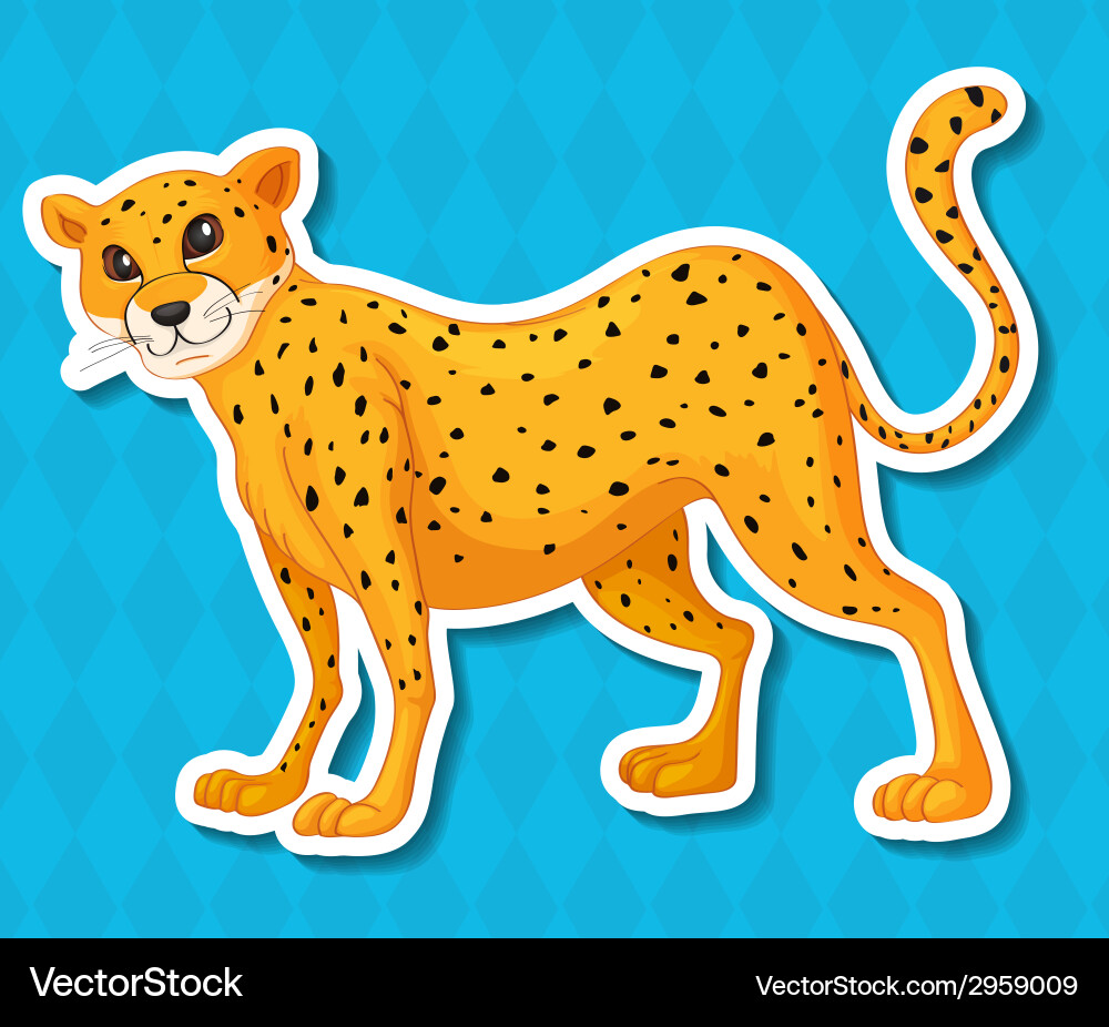 Leopard Vector Image