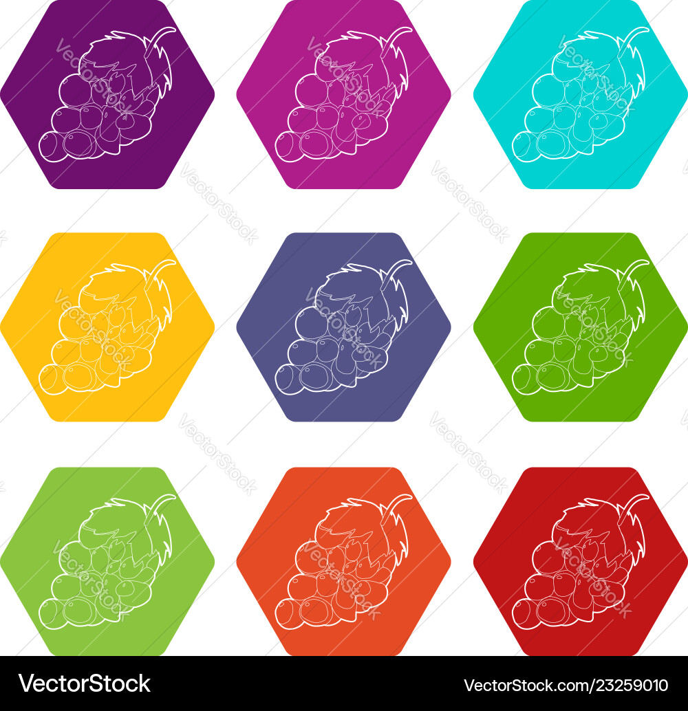 Grape icons set 9 Grape icons set 9 vector image