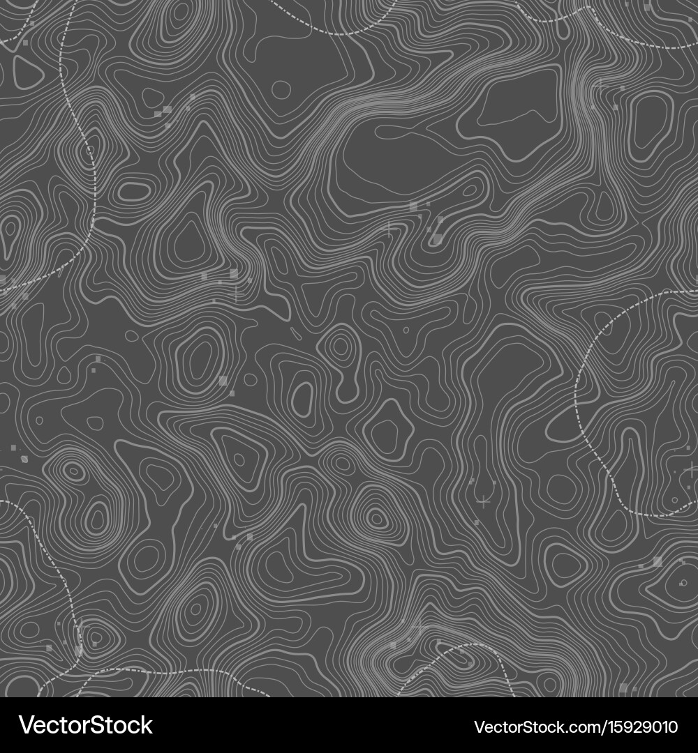 Seamless pattern topographic map background vector image