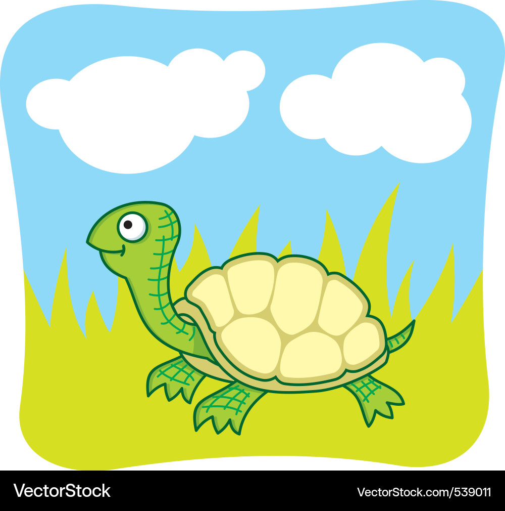 Turtle Vector Image