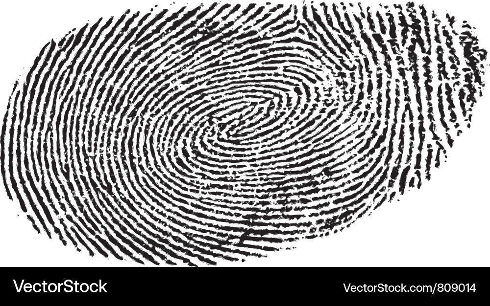 Detailed Fingerprint Pattern vector image