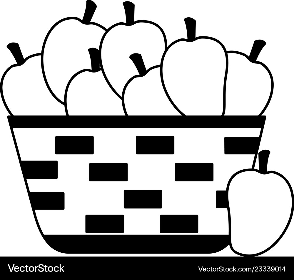 Wicker basket with fresh mango – Royalty-Free Vector | VectorStock, image size:1000x954