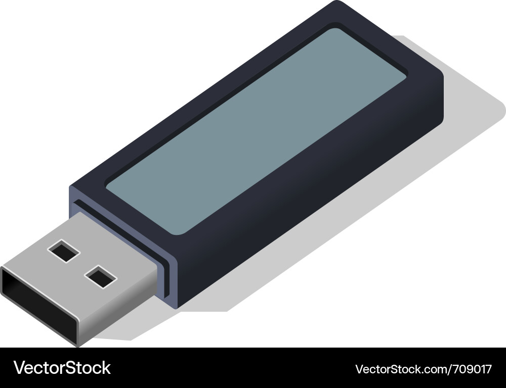 USB Flash Drive vector image