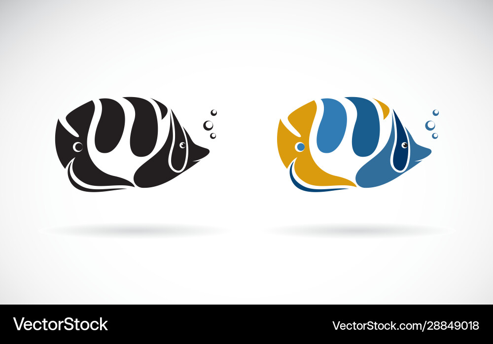 Colorful sea fish on white background undersea Colorful sea fish on white background undersea vector image