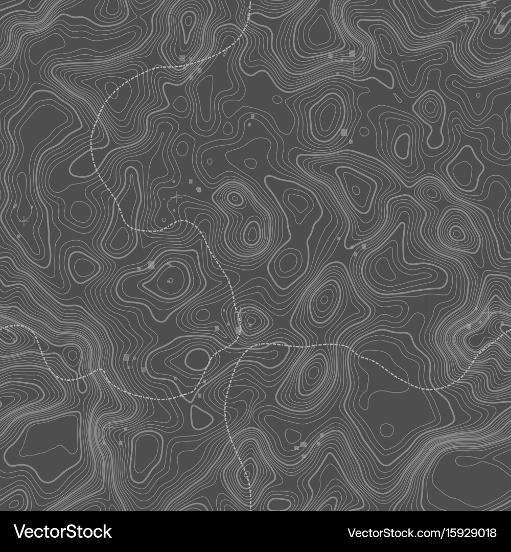 Seamless pattern topographic map background vector image
