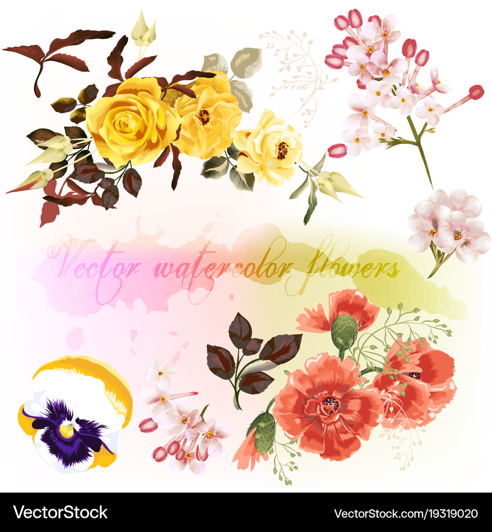 Watercolor Floral Collection Vector Image