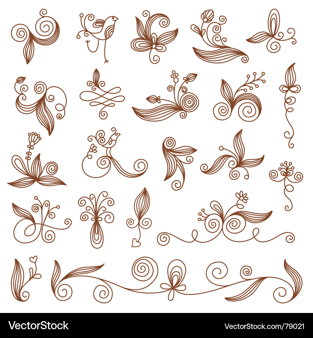 Floral Swirls & Ornaments vector image