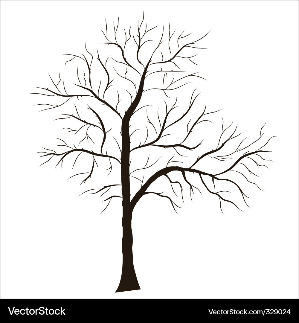 Detailed Tree Silhouette vector image