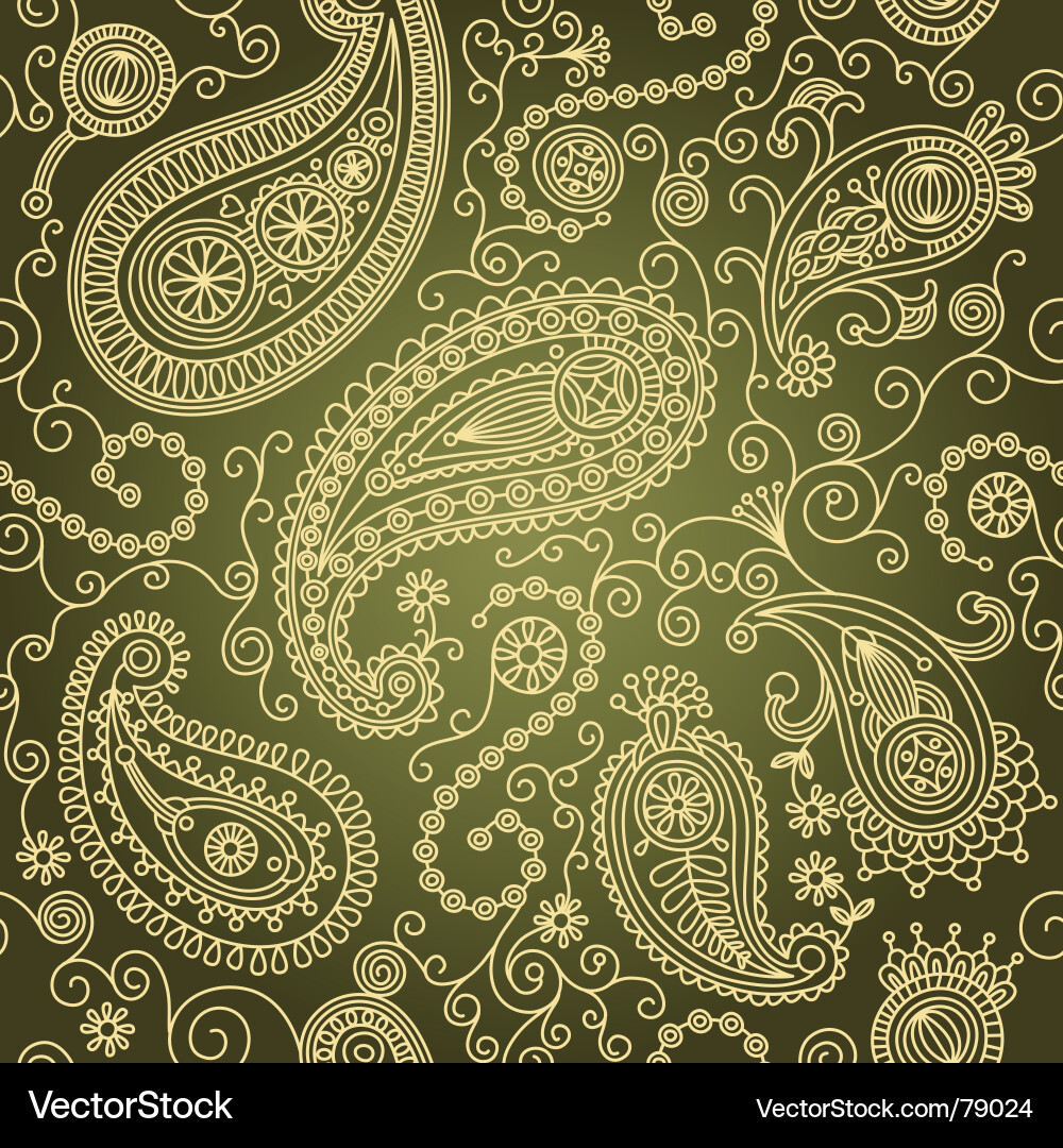 Intricate Paisley Pattern vector image