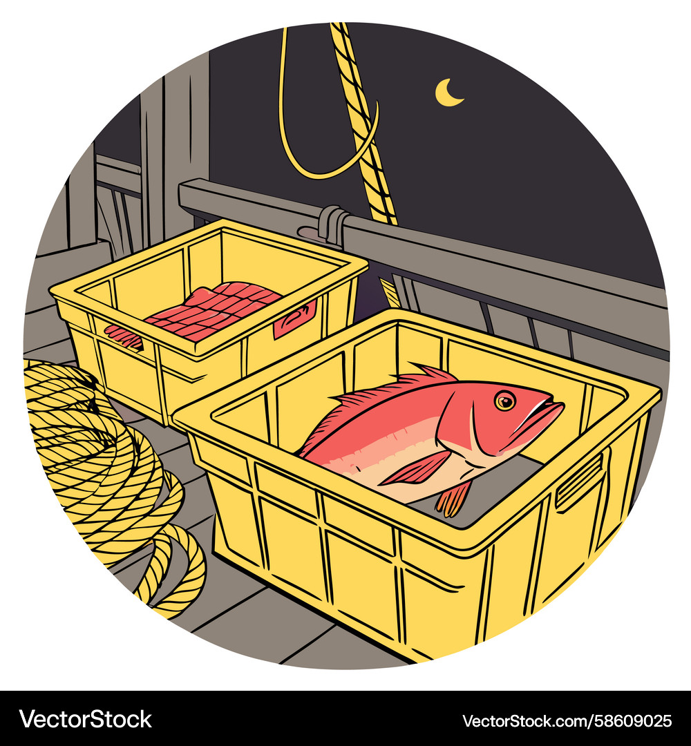 Closeup of red snapper in yellow crates Vector Image