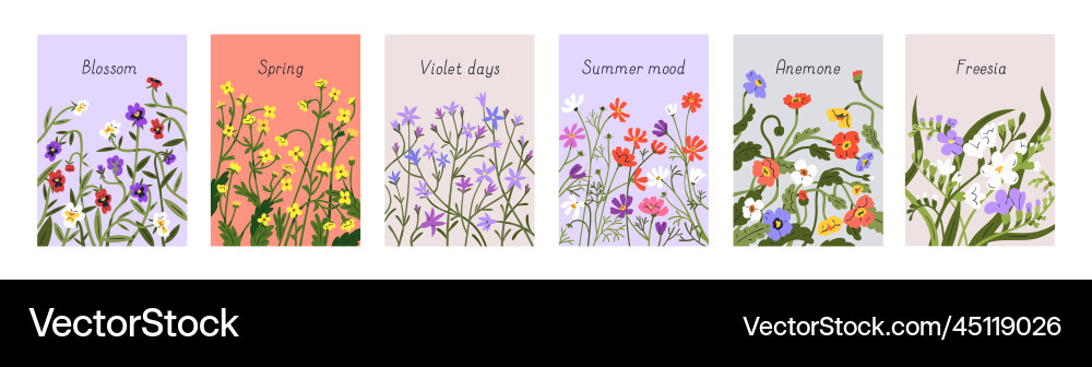 Blumenkartenhintergründe setzen Federfeld Blumen Blumenkartenhintergründe setzen Federfeld Blumen vektorbild