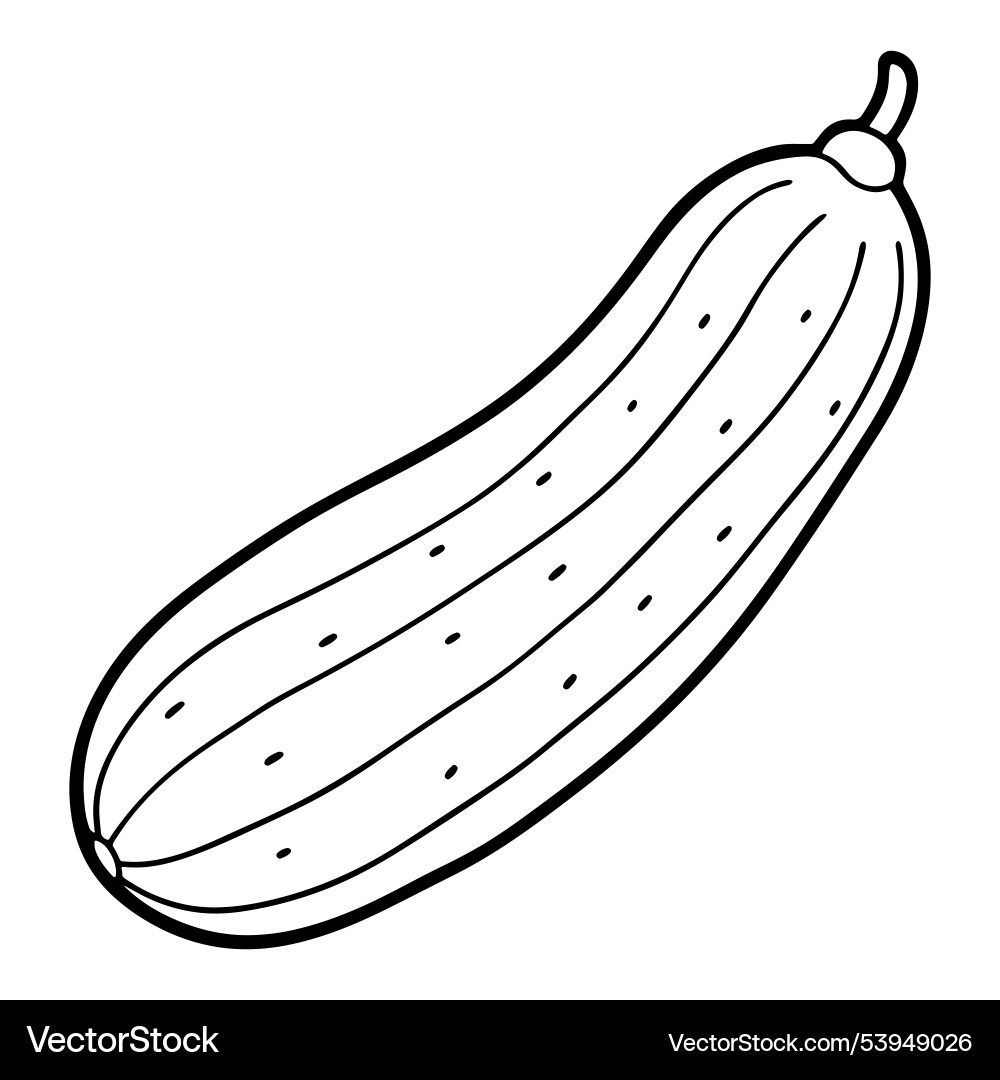 Dynamic cucumber with line art Vector Image
